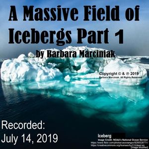 A Massive Field of Icebergs - Part 1
