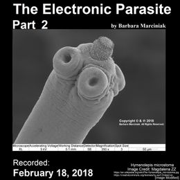 The Electronic Parasite - Part 2