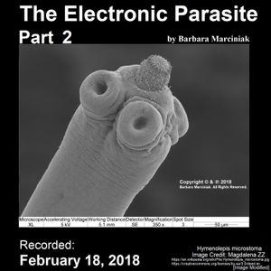 The Electronic Parasite - Part 2