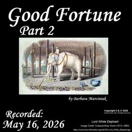 Good Fortune - Part 2