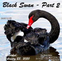 Black Swan - Part 2