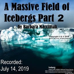 A Massive Field of Icebergs - Part 2