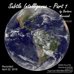 Subtle Intelligence - Part 1