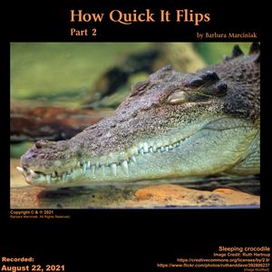 How Quick It Flips - Part 2