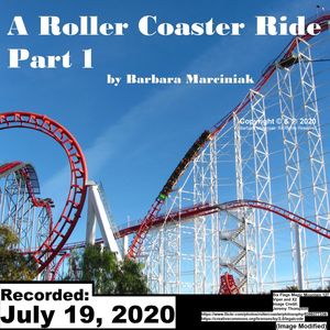 A Roller Coaster Ride - Part 1