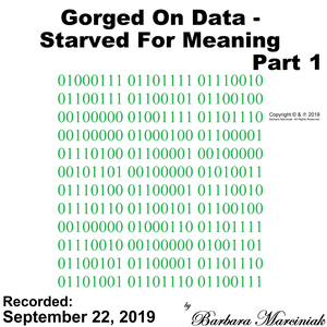 Gorged On Data - Starved For Meaning - Part 1