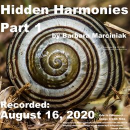 Hidden Harmonies - Part 1