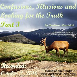 Confusions, Illusions and Looking for the Truth - Part 3