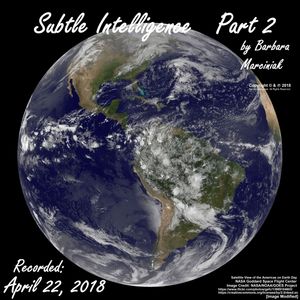 Subtle Intelligence - Part 2