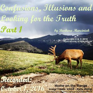 Confusions, Illusions and Looking for the Truth - Part 1