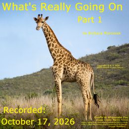 What's Really Going On - Part 1