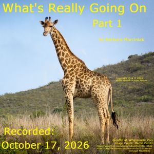 What's Really Going On - Part 1