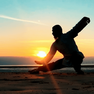 Ba Fa Wu Bu (lock down) Tai Chi form front and back view bundle