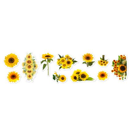 Sunflower Collection 15 x 3.75 inches sticker