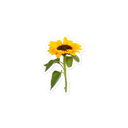 Sunflower Collection 3 inch sticker