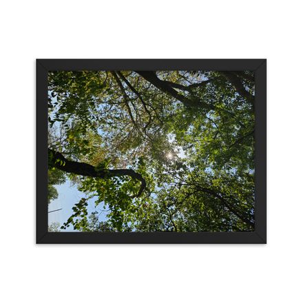 Framed Art Print 11 x 14