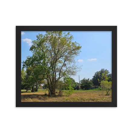 Framed Art Print 11 x 14