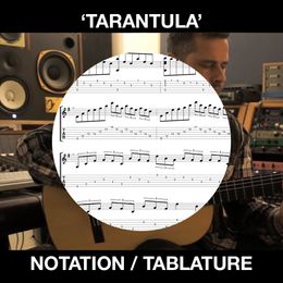 TARANTULA - SOLO FLAMENCO GUITAR TABS/NOTATION - BEN WOODS