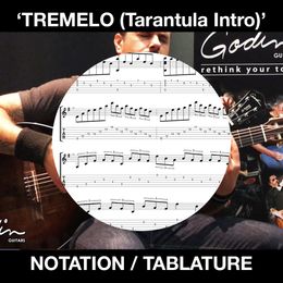 TREMELO (Tarantula Intro) - Solo Guitar