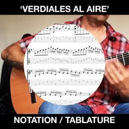 &#x27;VERDIALES AL AIRE&#x27; FLAMENCO GUITAR - BEN WOODS