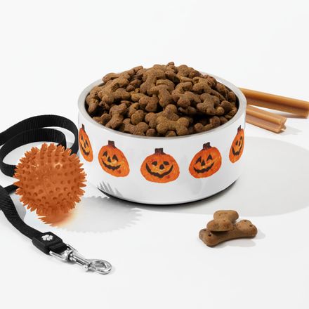 Pumpkin Pet Bowl 