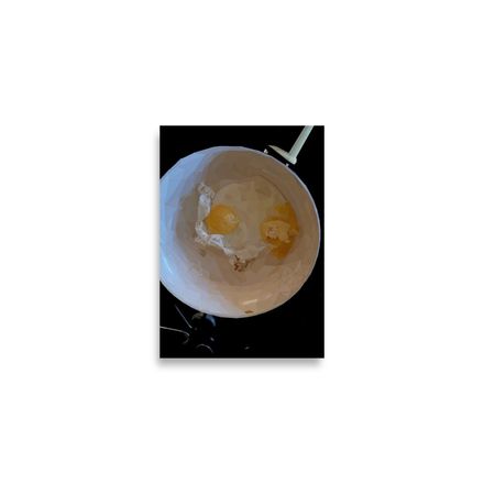 Egg Pan Print