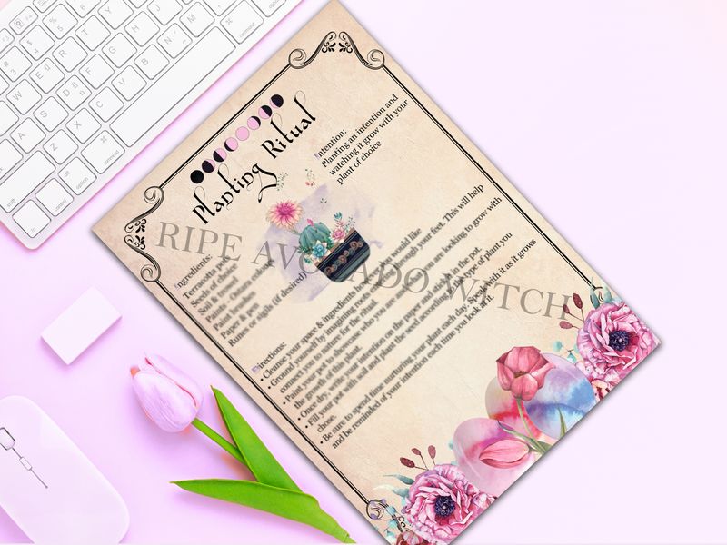Ostara Book of Shadows Bundle - Vintage