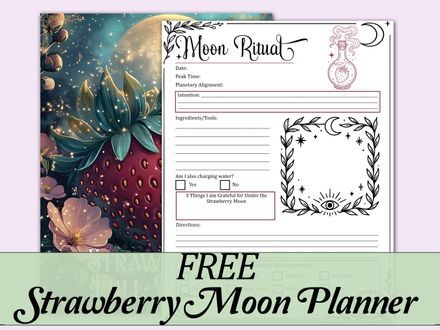 Strawberry Full Moon Planner