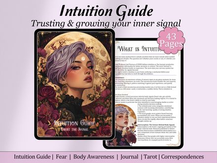 Intuition Guide