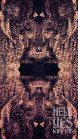 Loop #405 – Witness in the Void