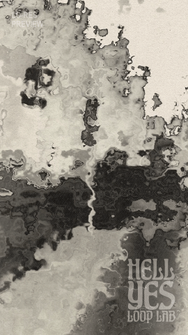 Loop #243 – Mirror Fields