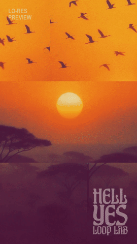 Loop #253 – Stripes and Shadows