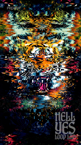 Loop #004 – Tiger Splash