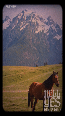 Loop #147 – Wild Horses