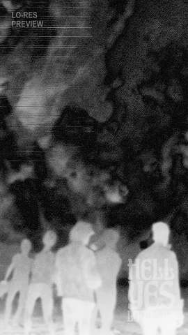 Loop #228 – Dream of Grass