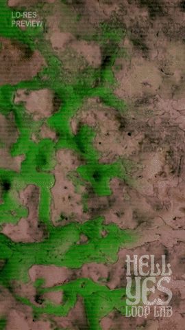 Loop #314 – City Walls