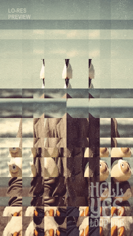 Loop #156 – Duckpond