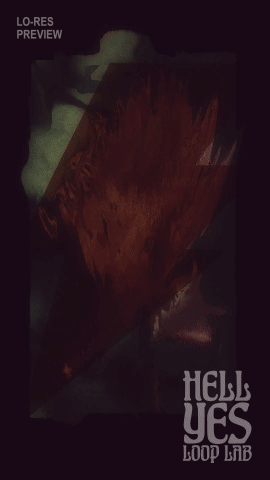 Loop #363 – Inception