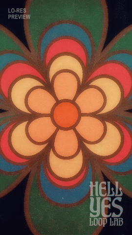 Loop #364 – Flower Drum