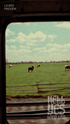 Loop #266 – The First Train Out