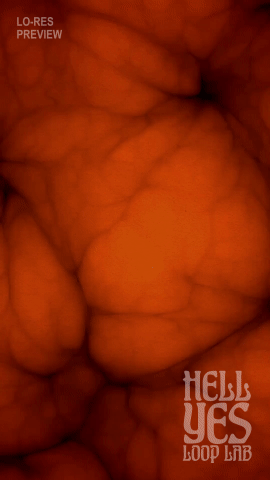 Loop #261 – Underneath the Surface