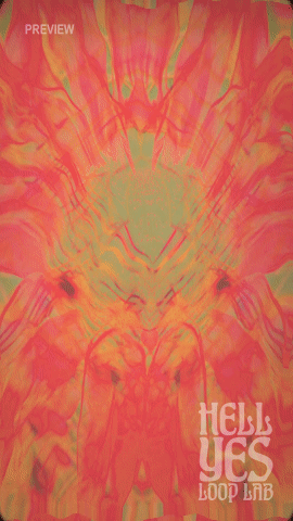 Loop #089 – Jellyfish