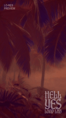 Loop #202 – Leopard