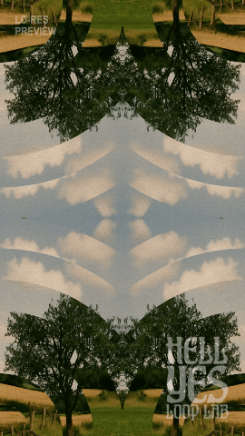 Loop #250 – Reflected Sunlight