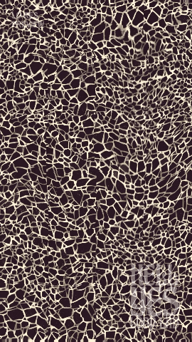 Loop #175 – Spiderwebs