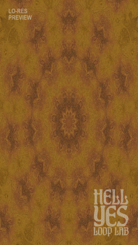 Loop #221 – Circular Dawn