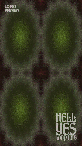 Loop #242 – Melody of Diversity