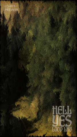 Loop #356 – Lost in the Fog