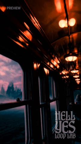 Loop #014 – Moonlit Train