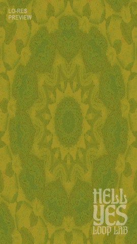 Loop #251 – Solar Bloom